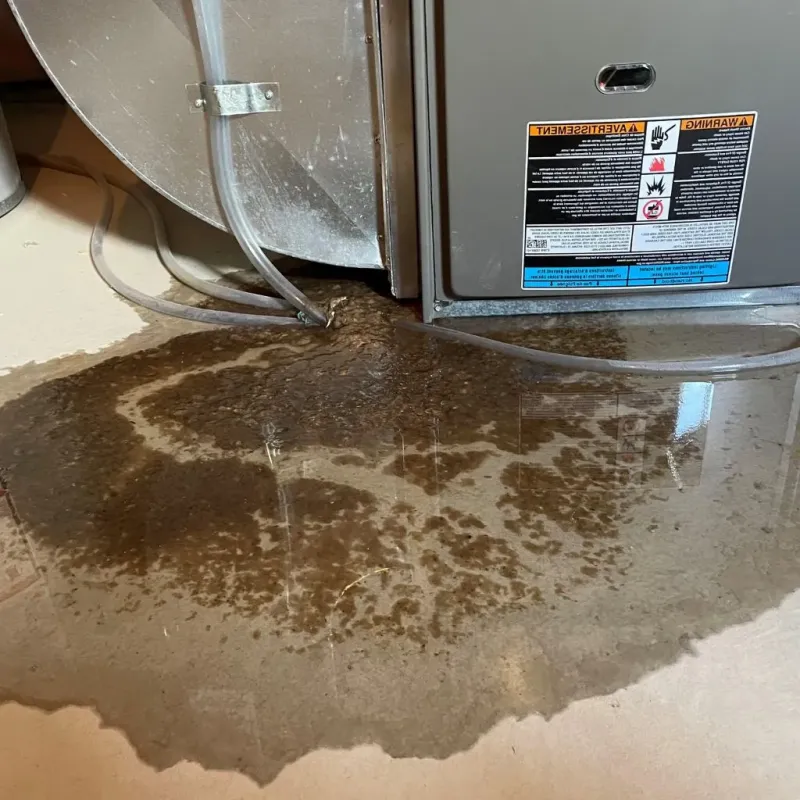 Pipe Burst and Leak Restoration in Wesley Hills, NY